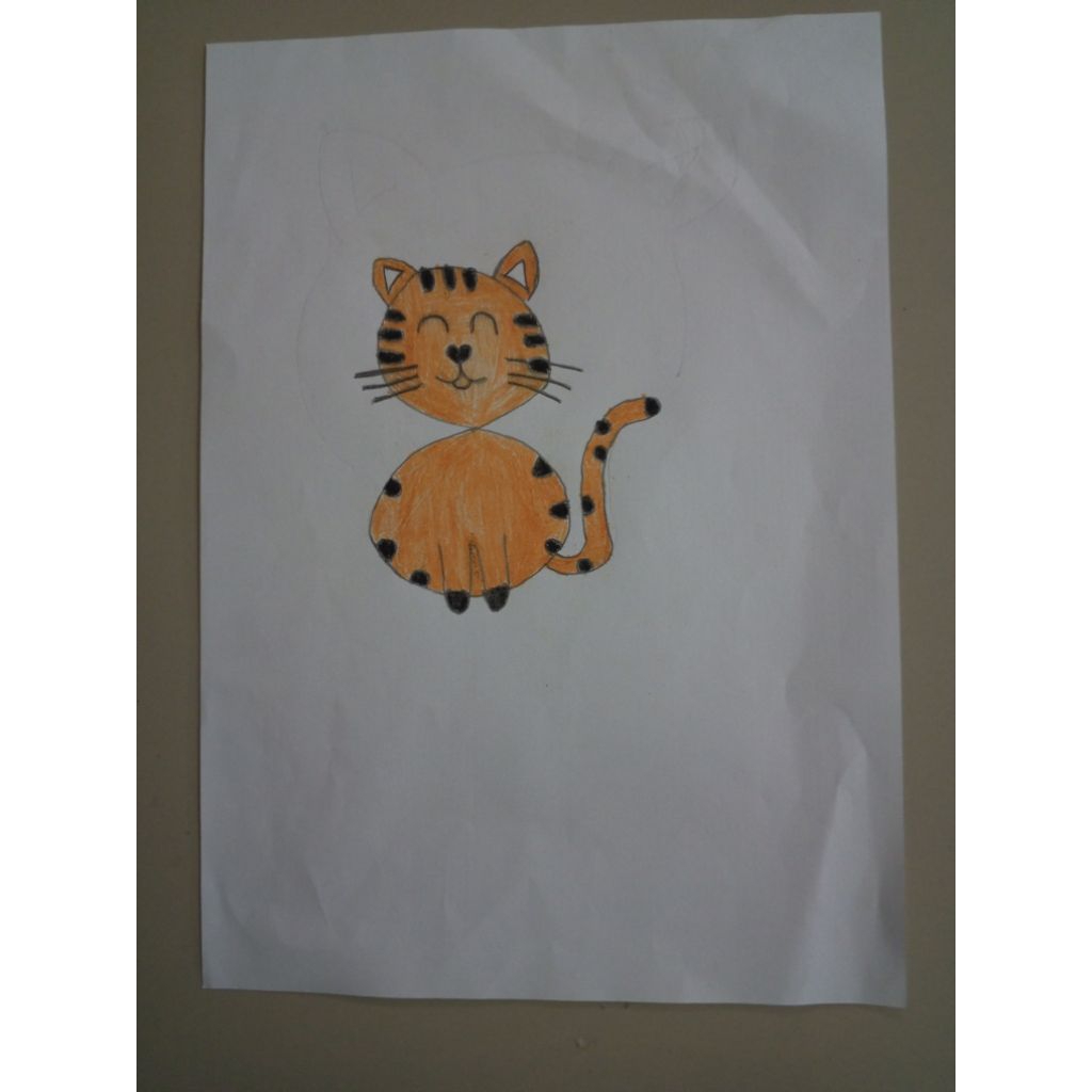 

Gambar Kucing Orange