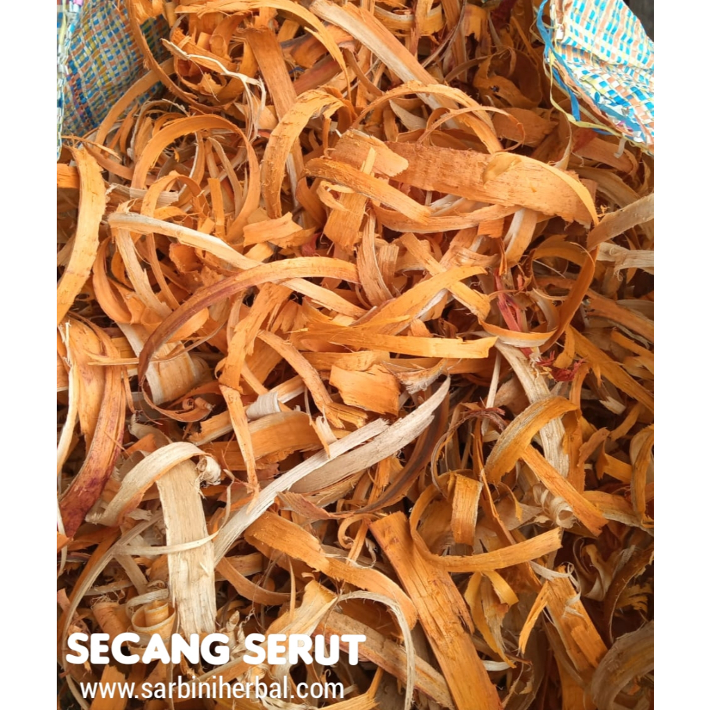 

Kayu Secang Serut Kering / Kering Kayu Secang Serut 100 gram / 250 gram / Simplisia Kering Kayu Secang Serut / Kayu Secang Serut Garansi Terjamin 100% Asli Murni / Bahan Kayu Secang Serut Kering / Bahan Kayu Secang Serut Premium