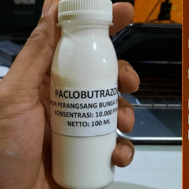Hormon Murni Paclobutrazol Paclo 100 ml