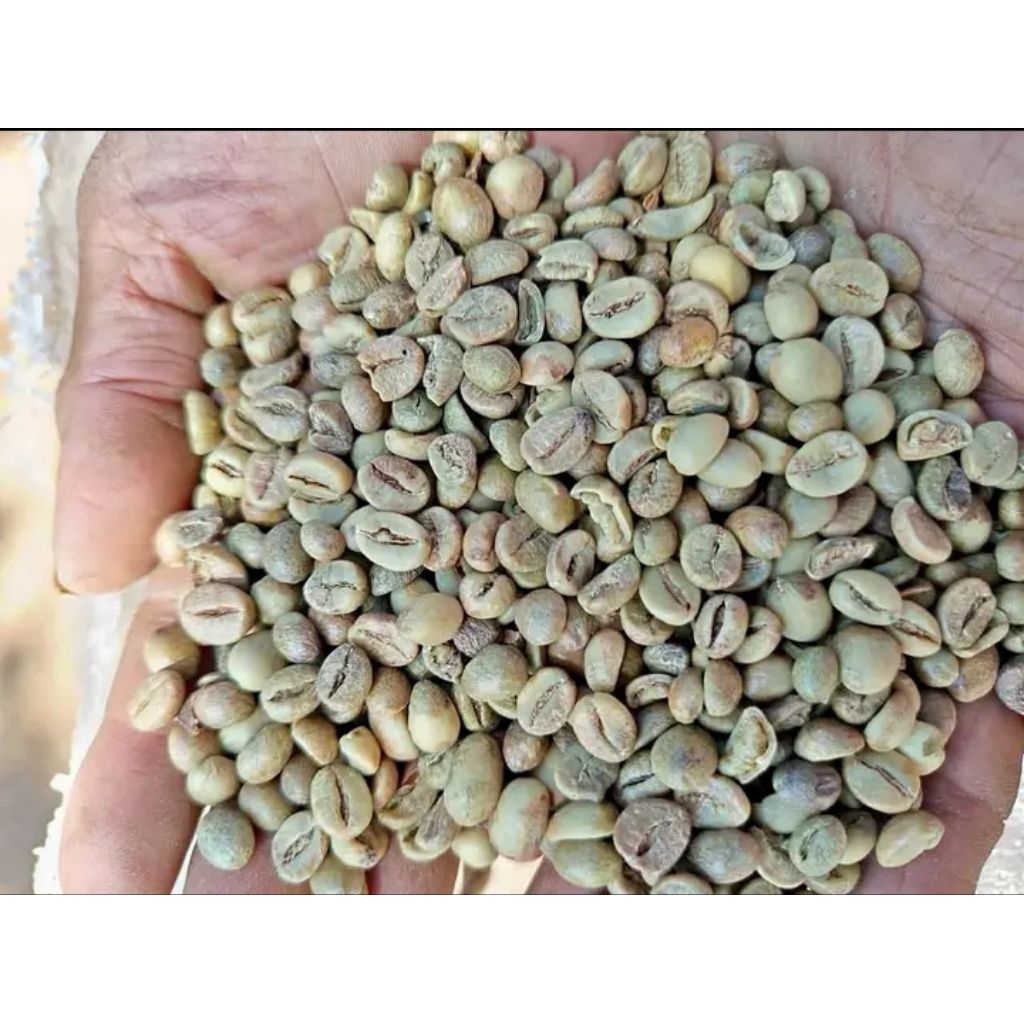 

kopi robusta