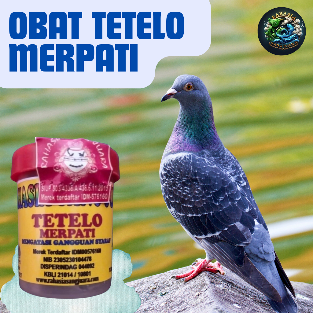 Obat Tetelo Burung Merpati Isi 30 Butir - Obat Anti Syaraf Tetelo
