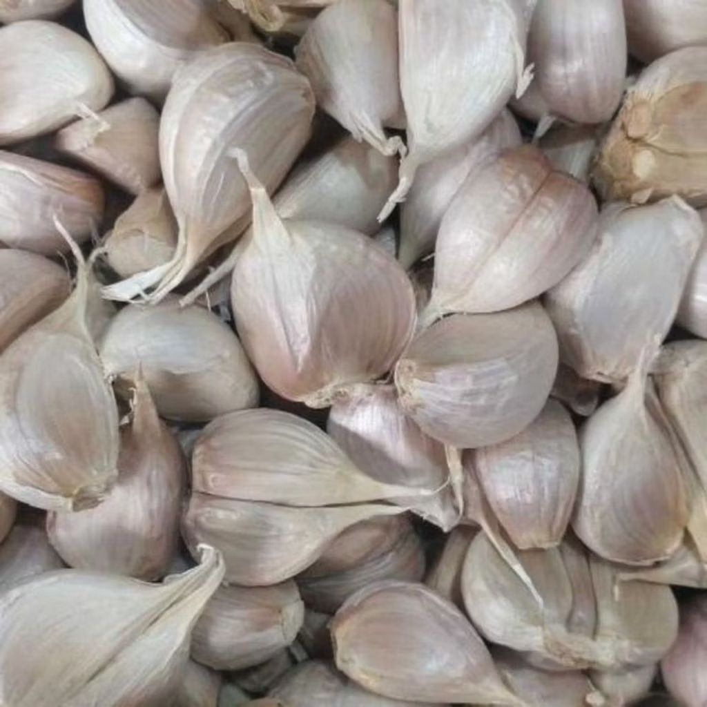 

Bawang Putih Kating 250 Gram