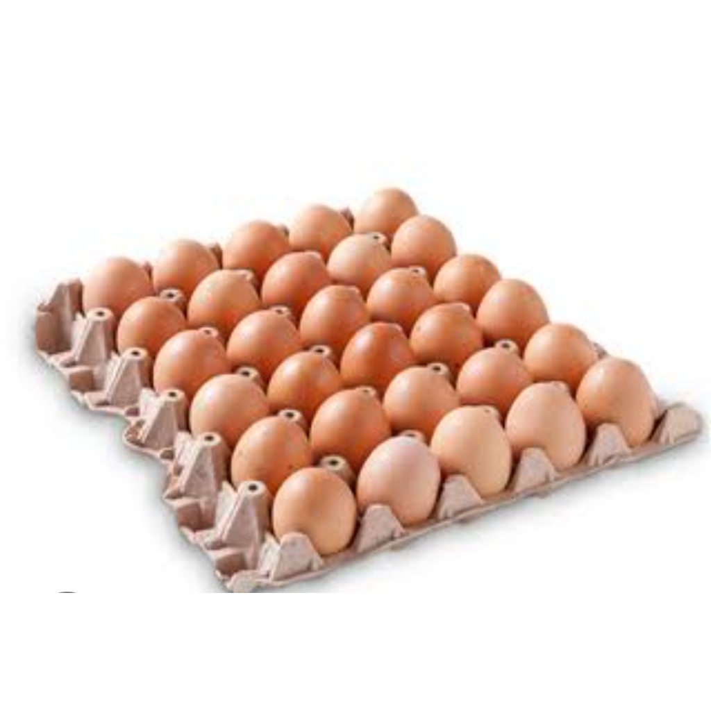 

Telur ayam negeri lokal