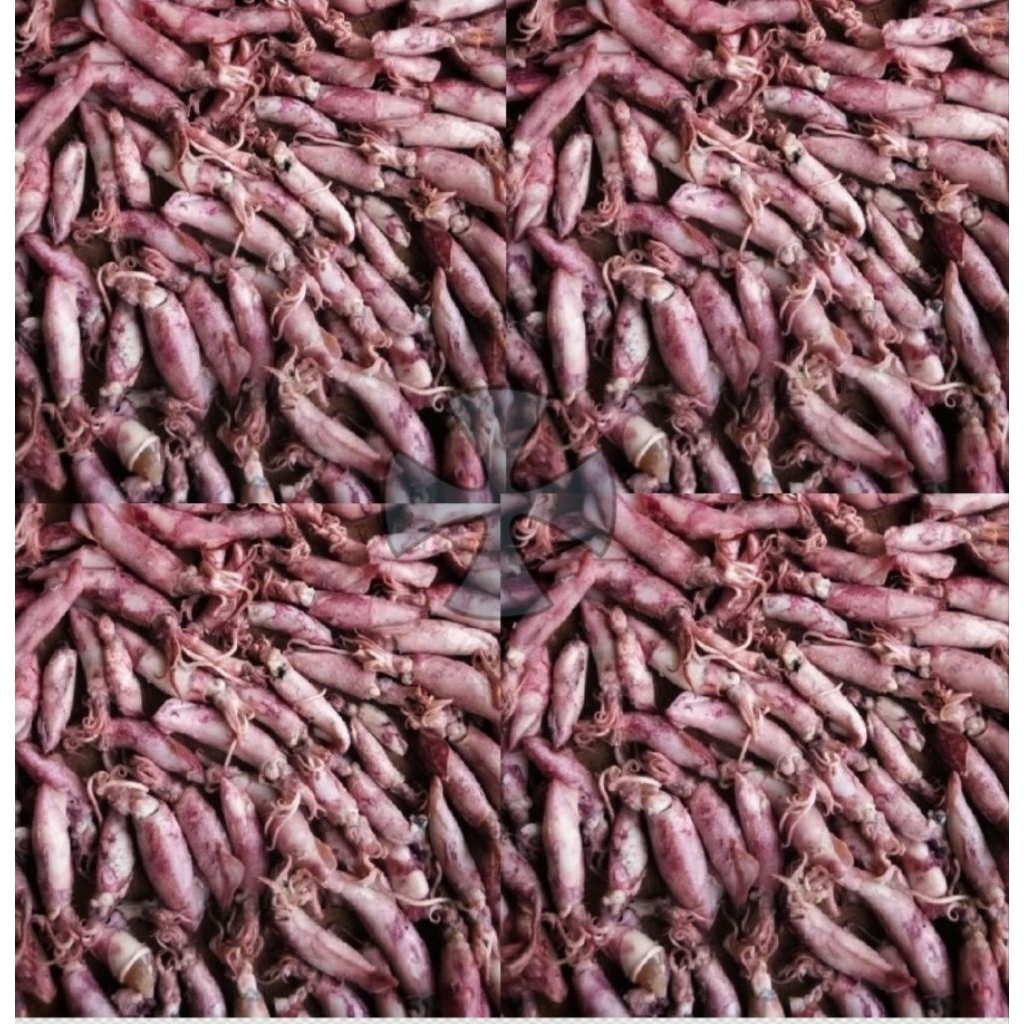 

CUMI ASIN 250GRAM/CUMI ASIN MURAH