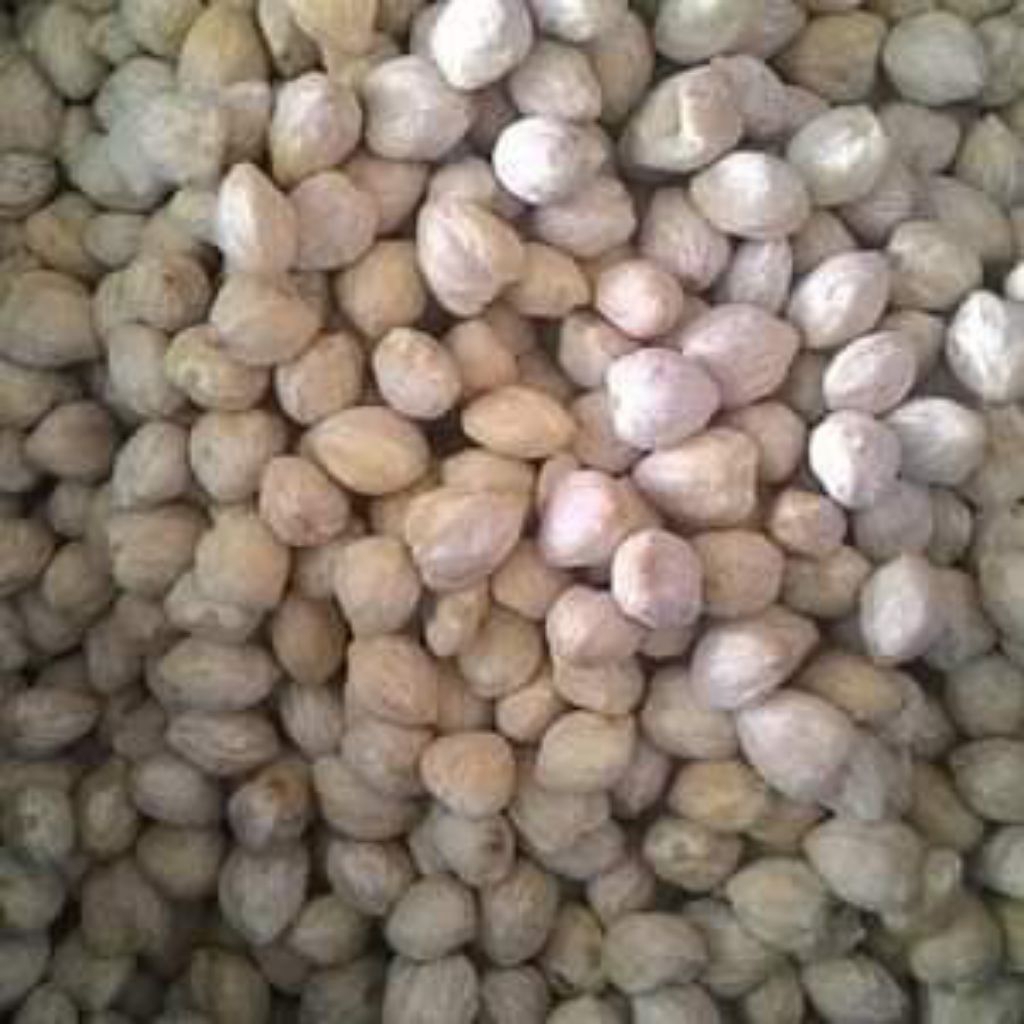 

KEMIRI BULAT UTUH 500GRAM