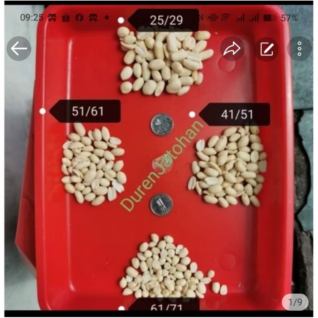 

Kacang Tanah Kupas Mentah 41/51,51/61, 61/71, 25/29 berat 25kg (1Dus ) by Ojol