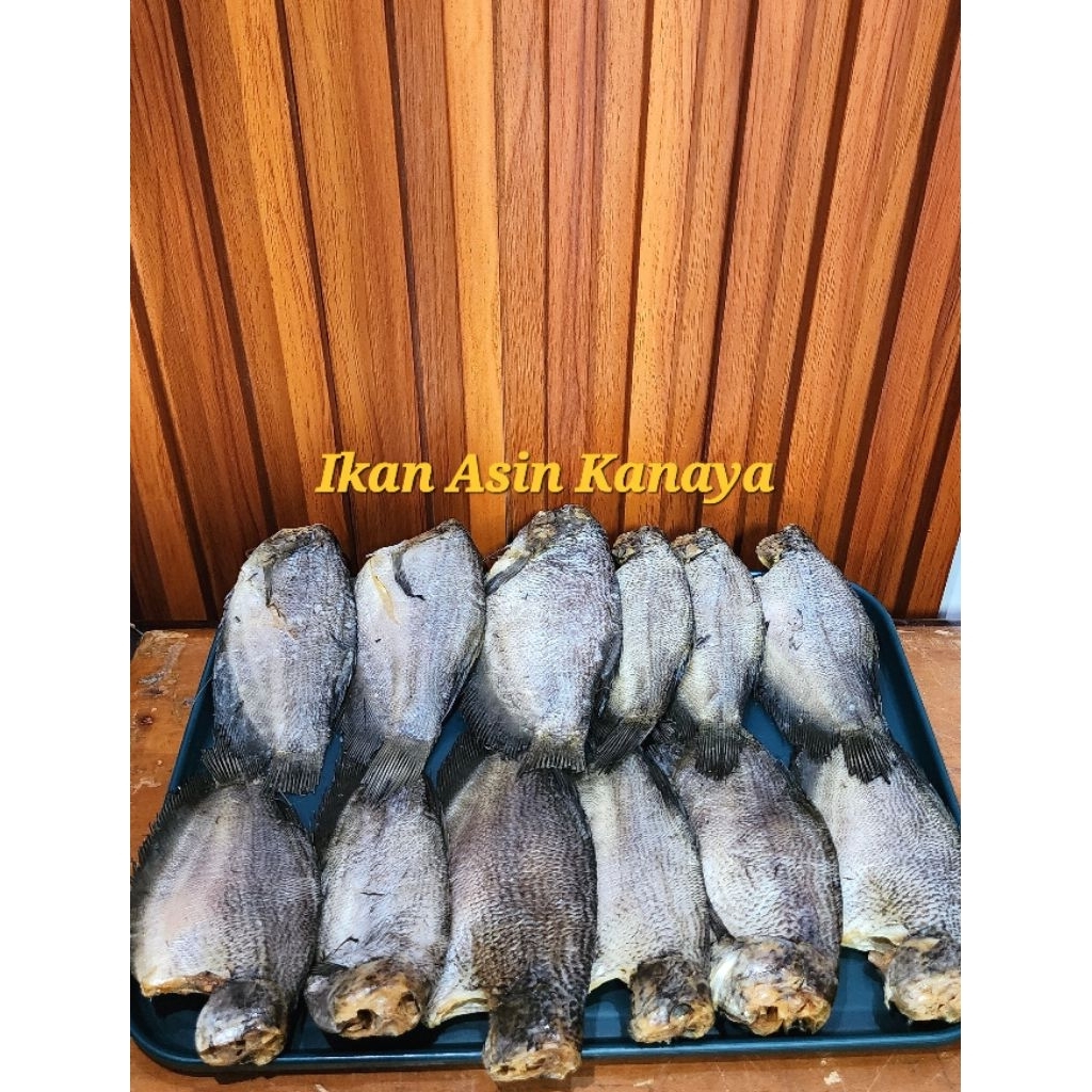 

Ikan Asin Sepat Siam Jumbo 500 gr / 1 kg.