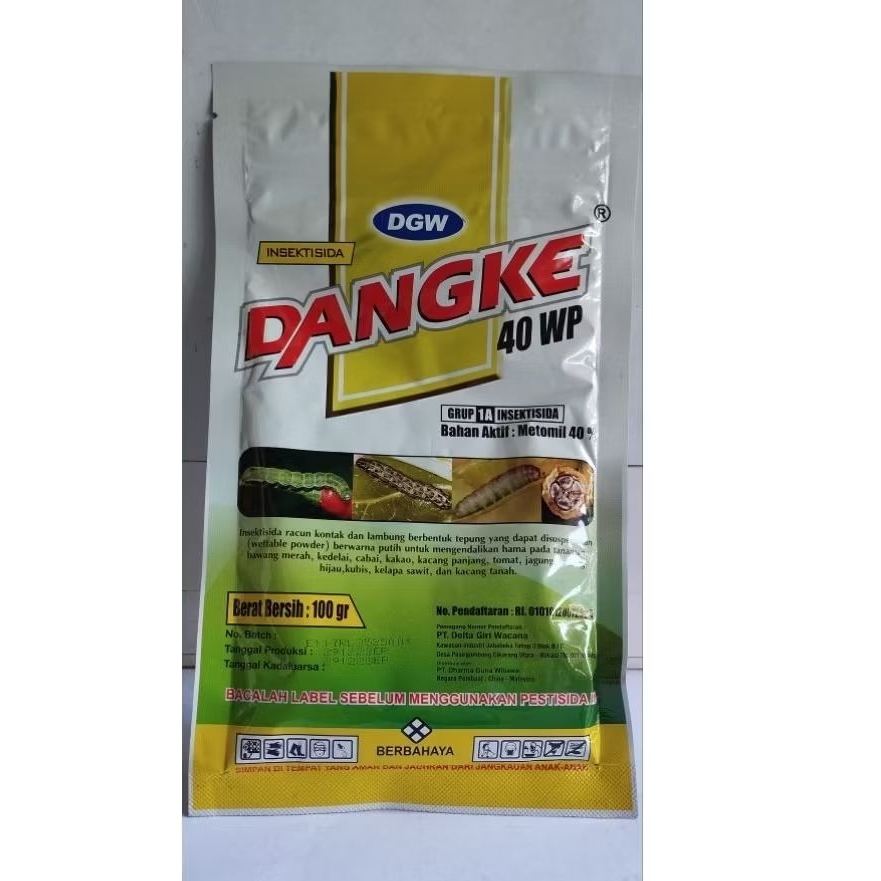 DANGKE 100GRAM