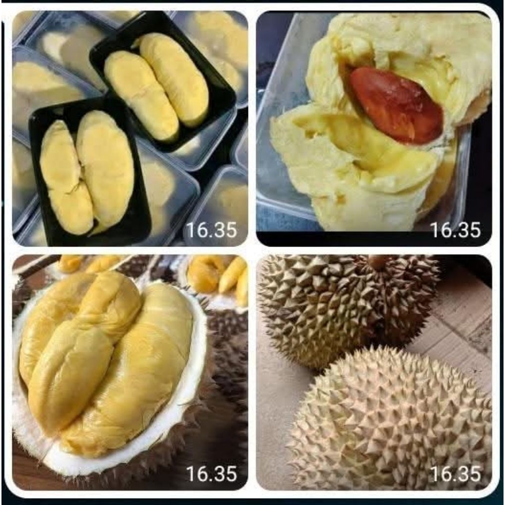 

DURIAN MONTHONG / DURPAS MONTHONG BOX