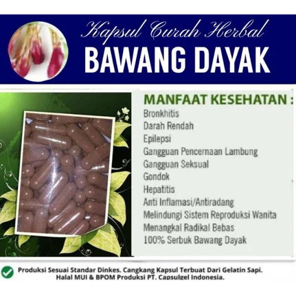 kapsul HERBAL bawang dayak curah isi 100 Bisul Diabetes Wasir Kolestrol ORIGINAL