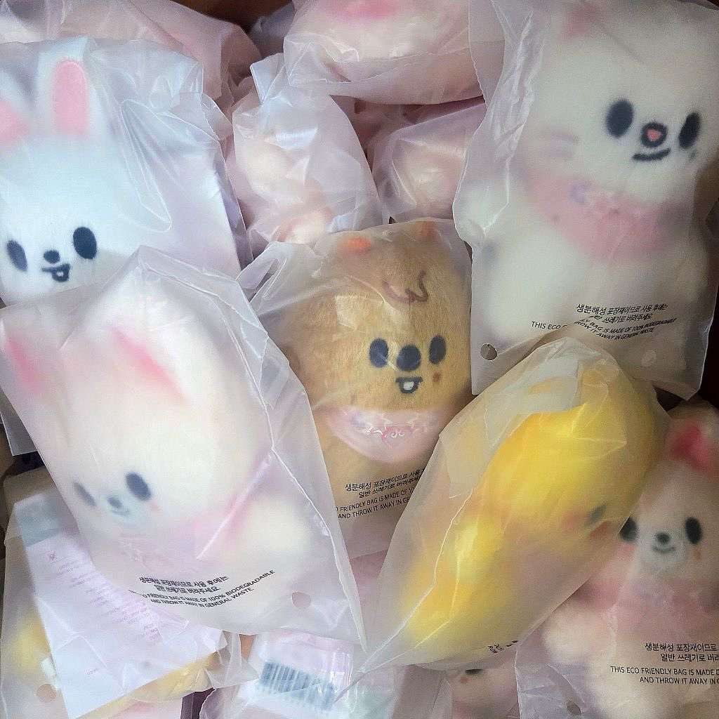 Ready stock BACA DESKRIPSI SKZOO SKZ 5’clock Fanmeeting 10cm plush doll plushie micro keyring offici