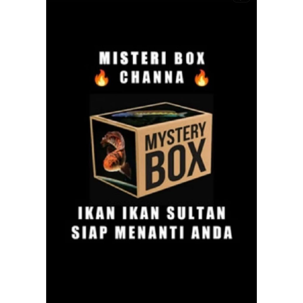 misteri bok chana auranti Barca anti zonk