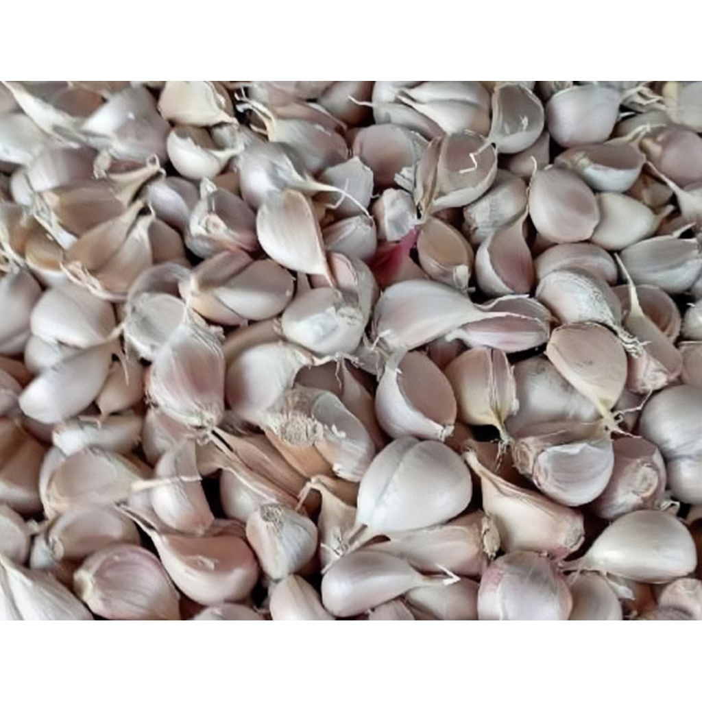 

Bawang Putih Kating 1kg Bersih