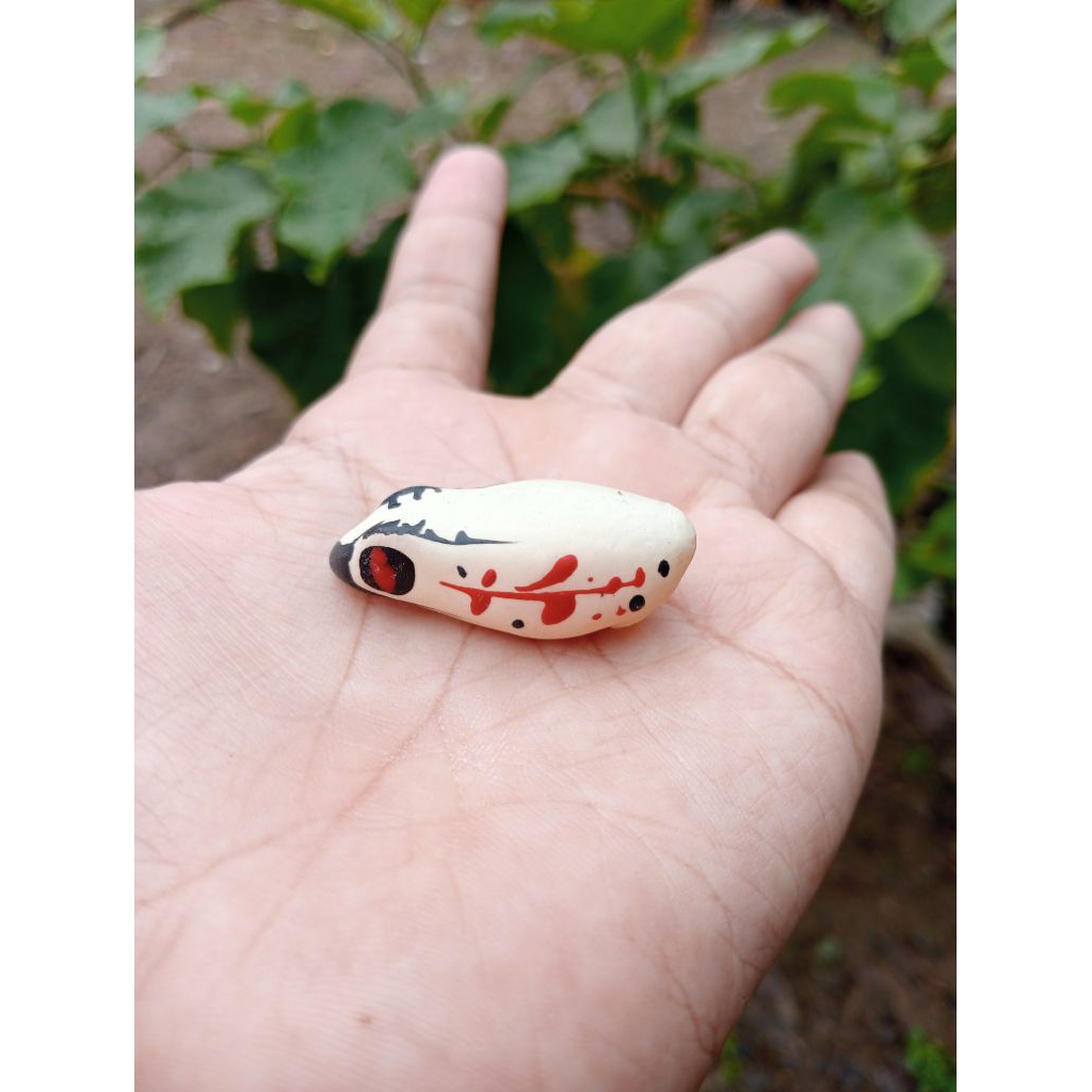 kulit/cangkang soft frog ukuran 4 cm