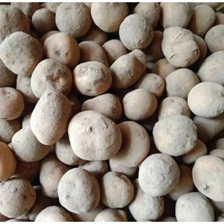 

Kentang Segar Fresh Kiloan 1/2 kg 500gr - Aneka Sayuran