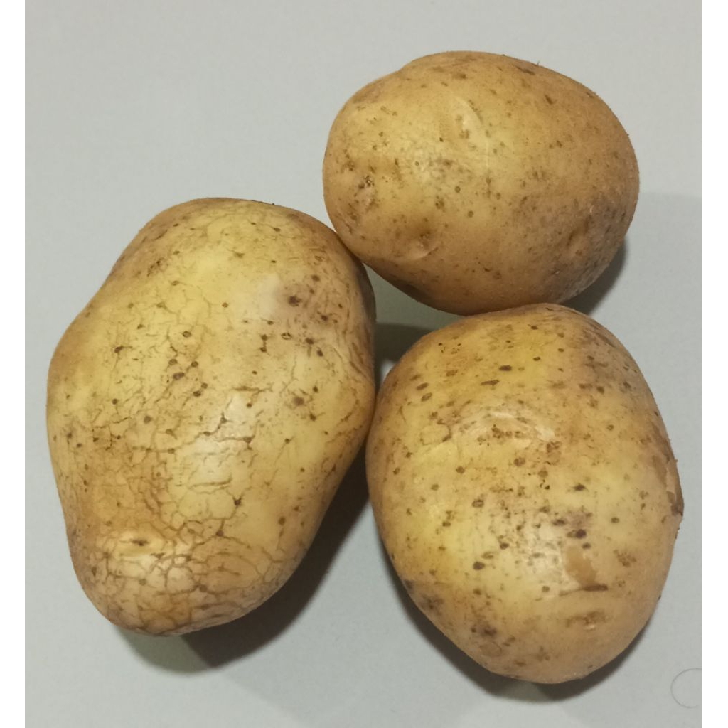 

Kentang harga per kg kentang kuning