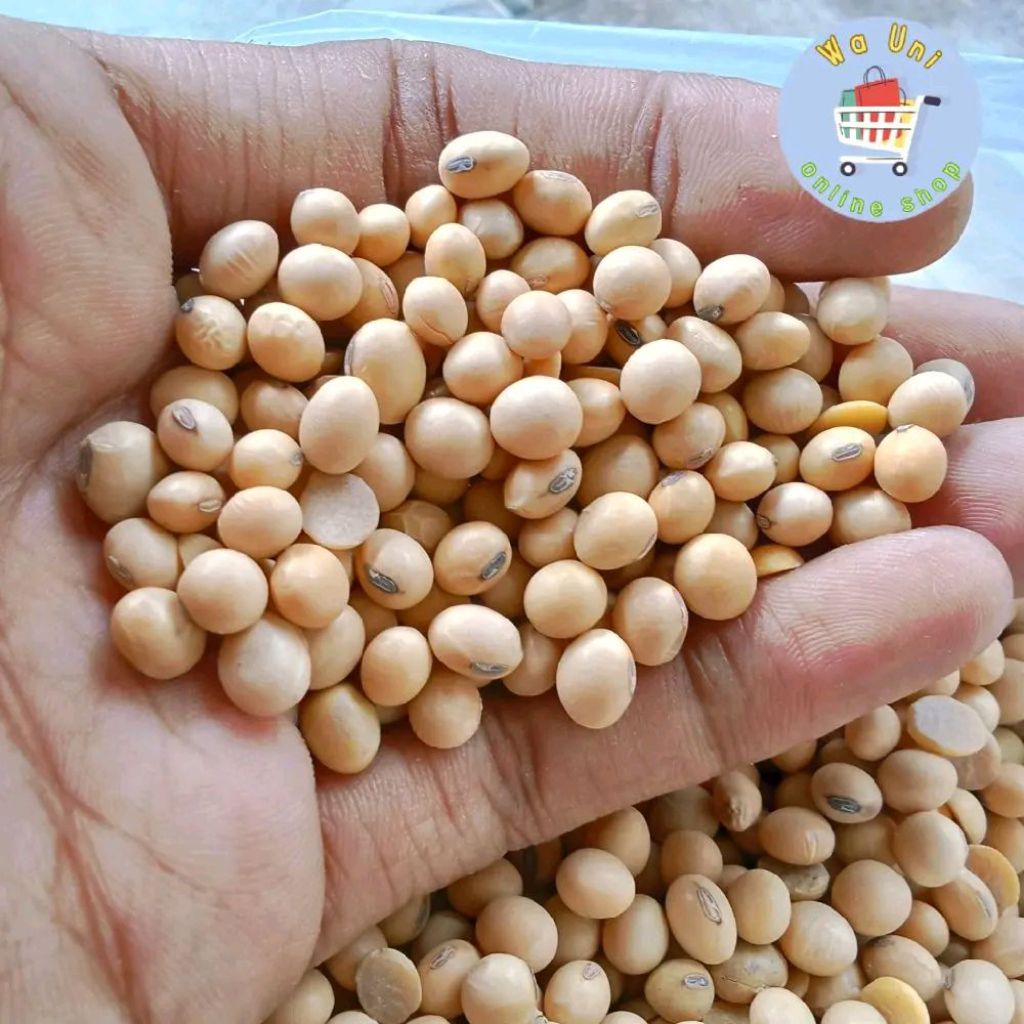 

kacang kedelai super 1 kg - bahan makanan - kacang