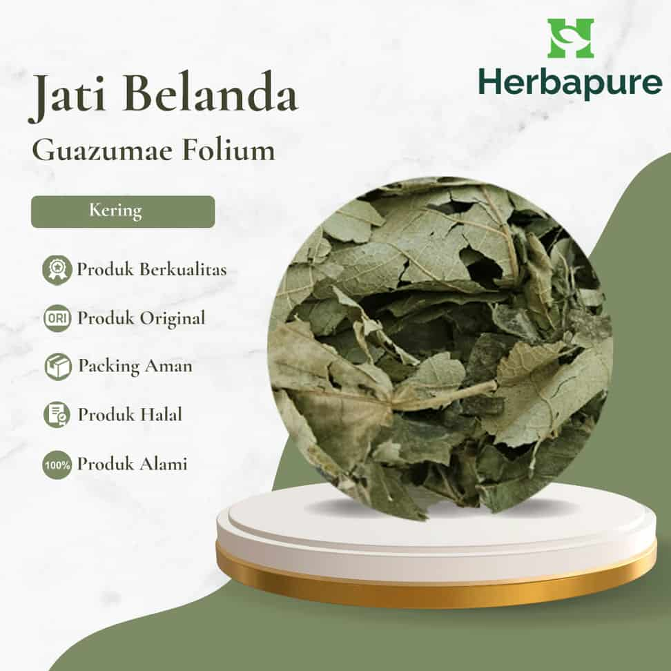 

Herbapure- Daun Jati Belanda Kering Herbal Pelangsing Alami, Bantu Diet & Atasi Lemak Tubuh