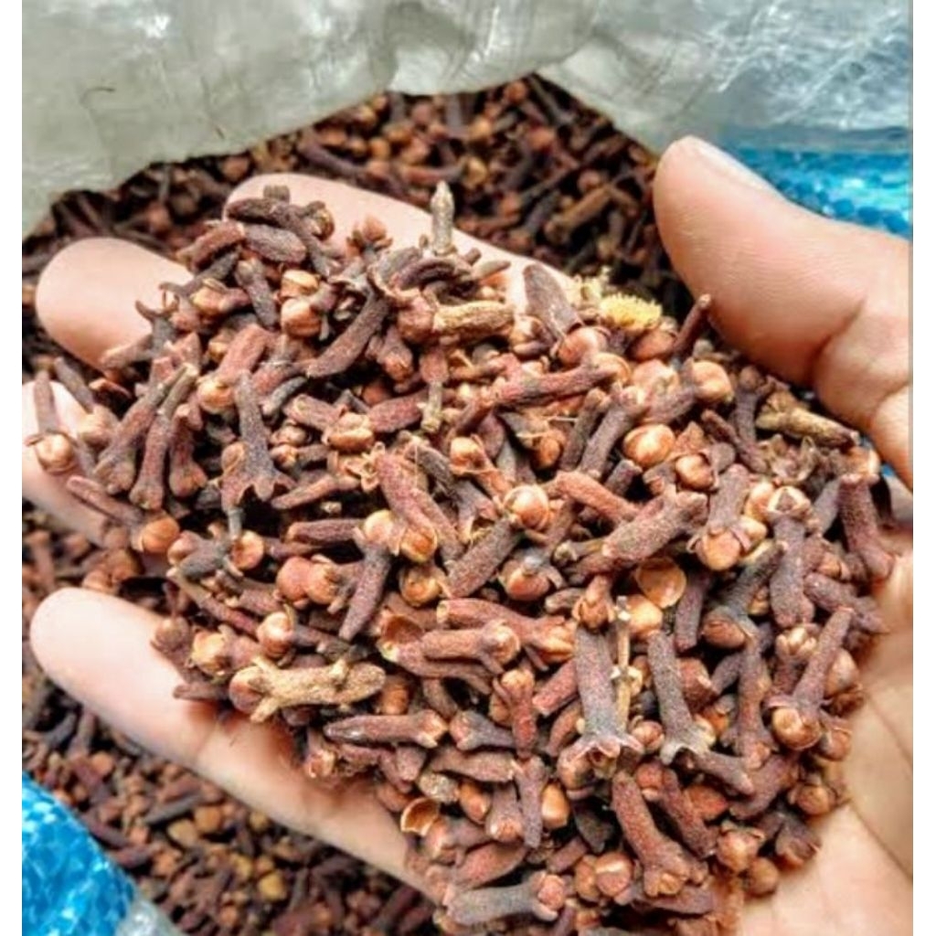 

cengkeh kering berkualitas 100g