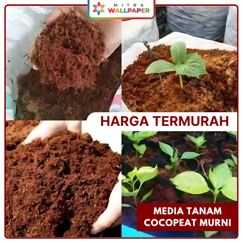 Cocopeat Murni Serbuk Sabut Kelala Sekam Mentah Media Tanam