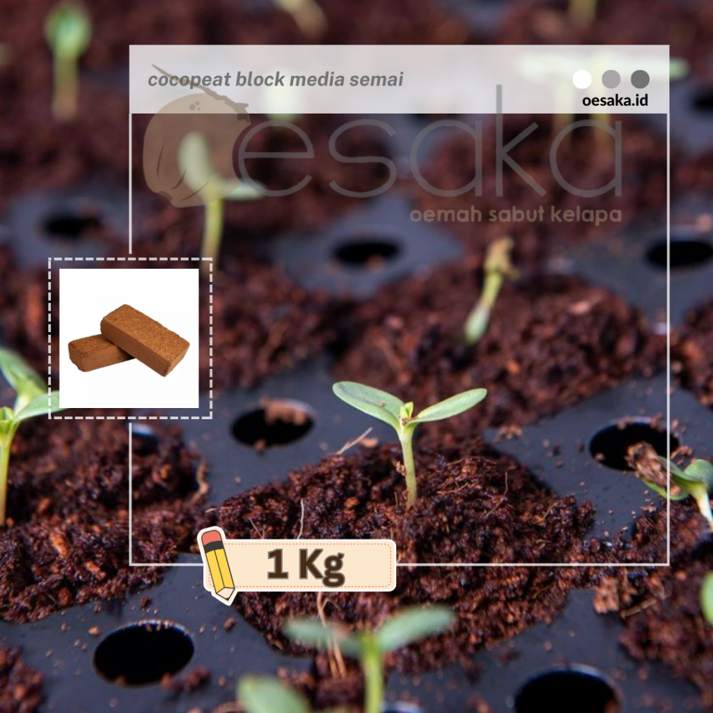 Oesaka Cocopeat Block 1 Kg Kualitas Super - Super Mengembang Media Tanam Siap Pakai