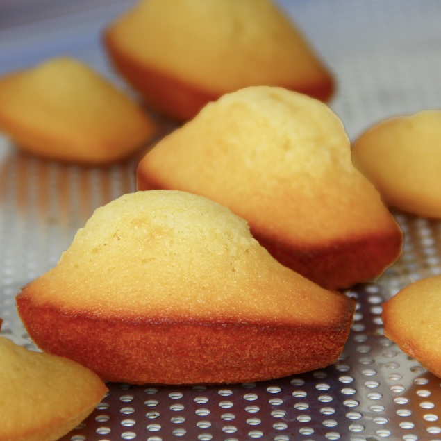 

Original Madeleine - Box of 4