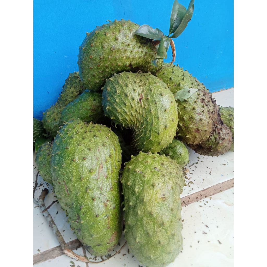 

sirsak pres lasung dari pohonnyanntto/1kg