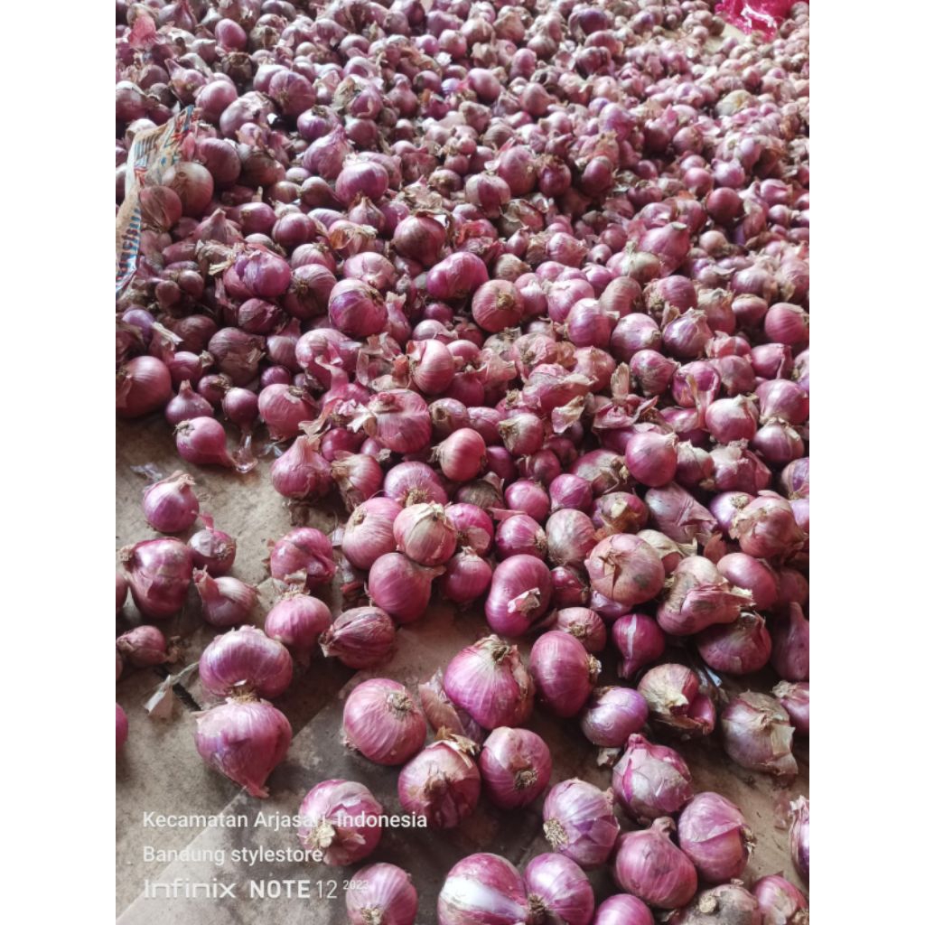 

Bawang merah Batu Bali karet super murah promo 1kg