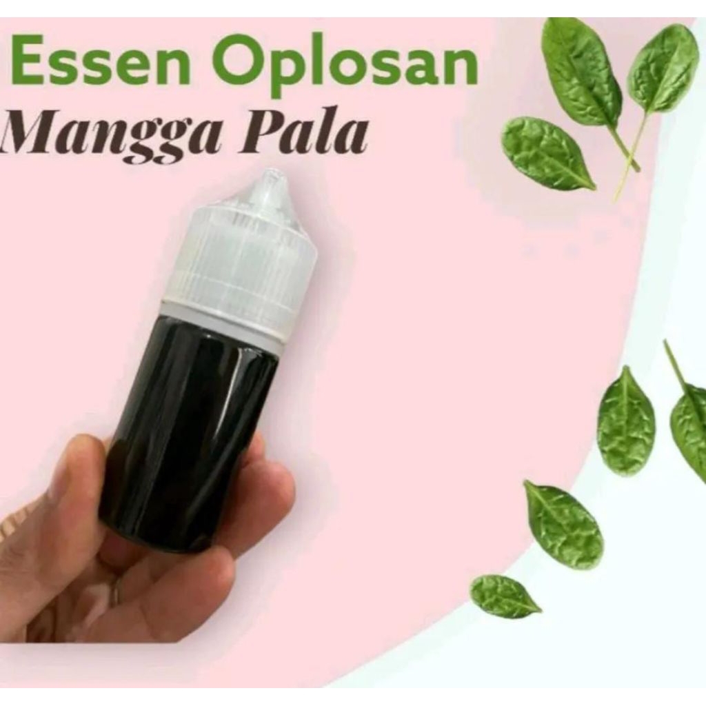 essen ikan oplosan mangga pala