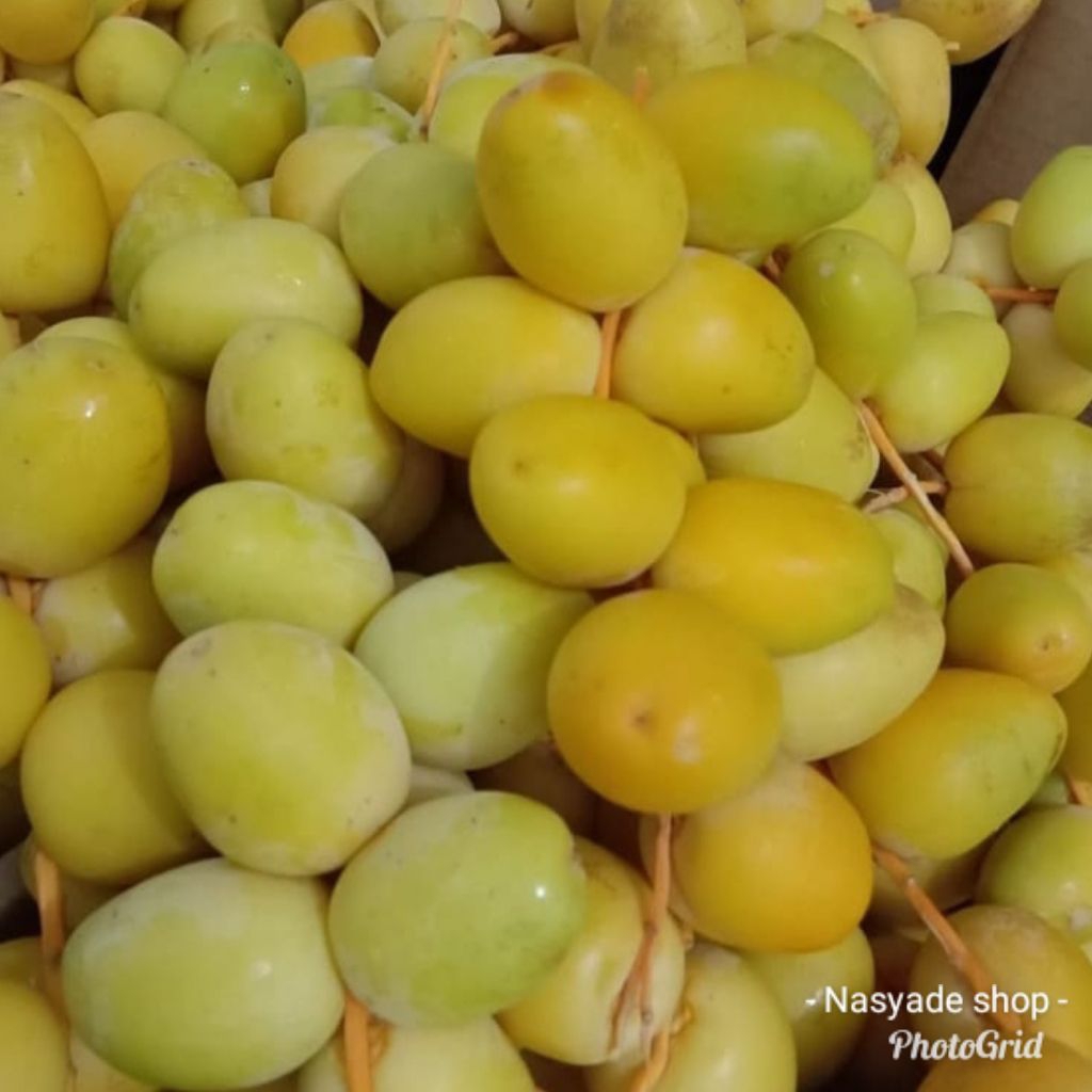 

Kurma muda segar fresh BUKAN BEKU per 500gr