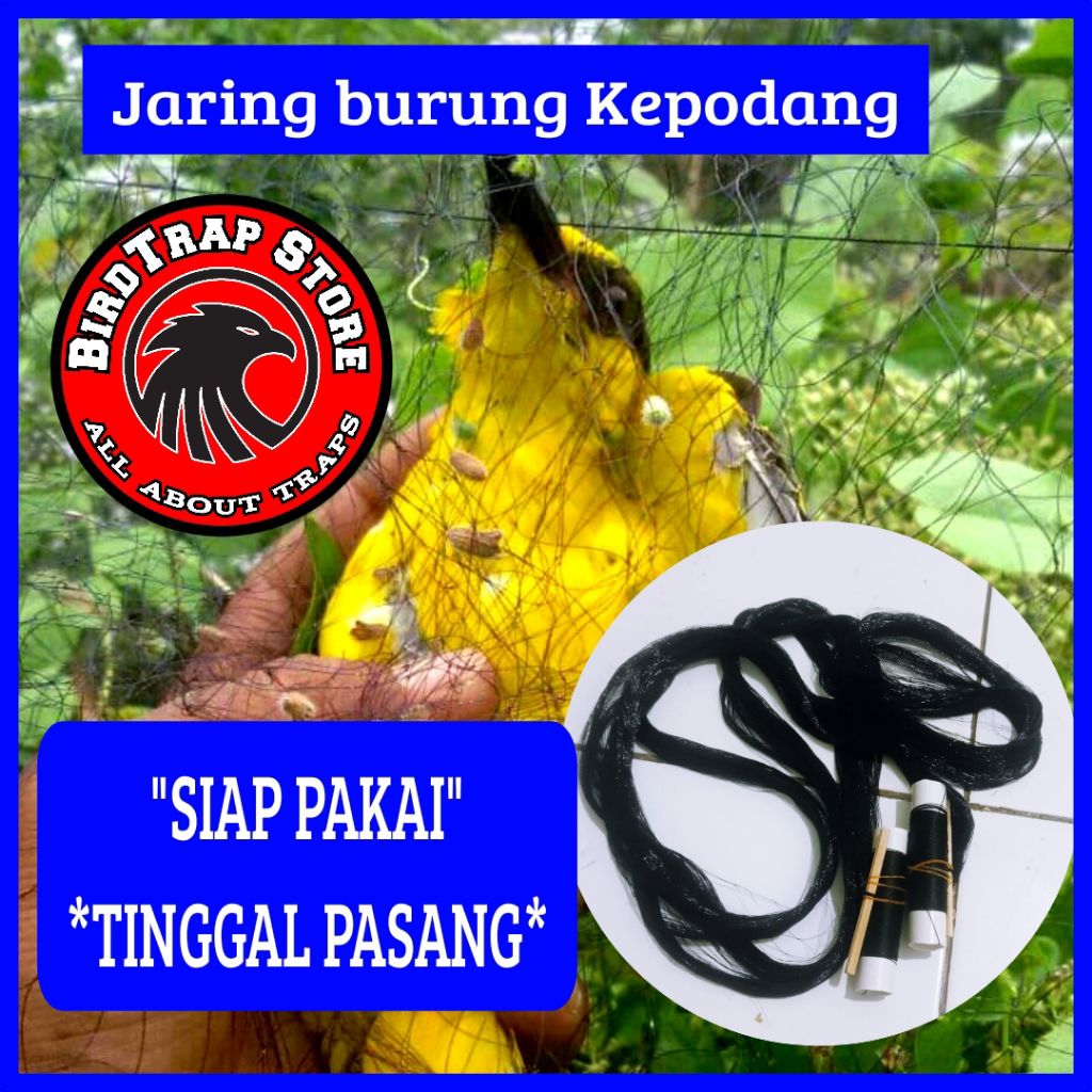 Jaring burung podang 10m, jaring burung podang siap pakai tinggal pasang panjang 10 meter, jebakan b