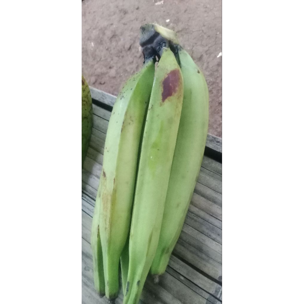 

pisang tanduk tua mentah 1pcs/perbiji