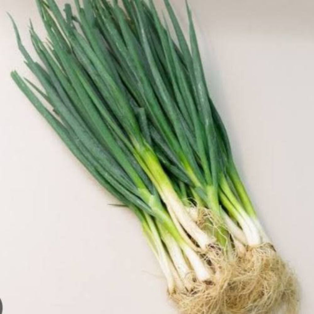 

DAUN BAWANG 1 IKAT isi 2 - 3 batang