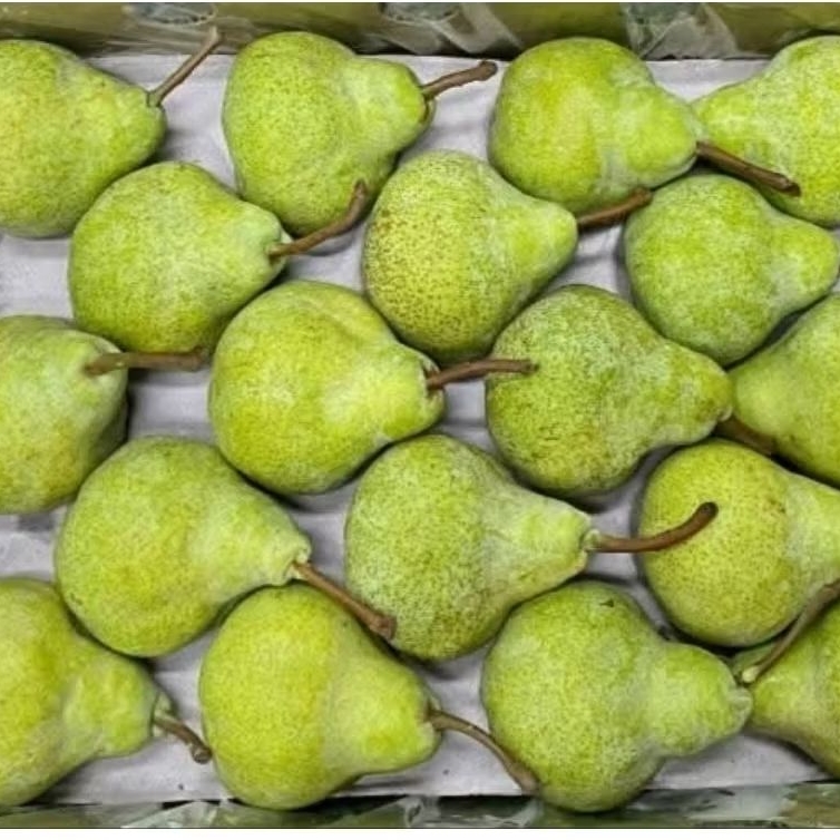 

PEAR PACKHAM 1 DUS 12kg
