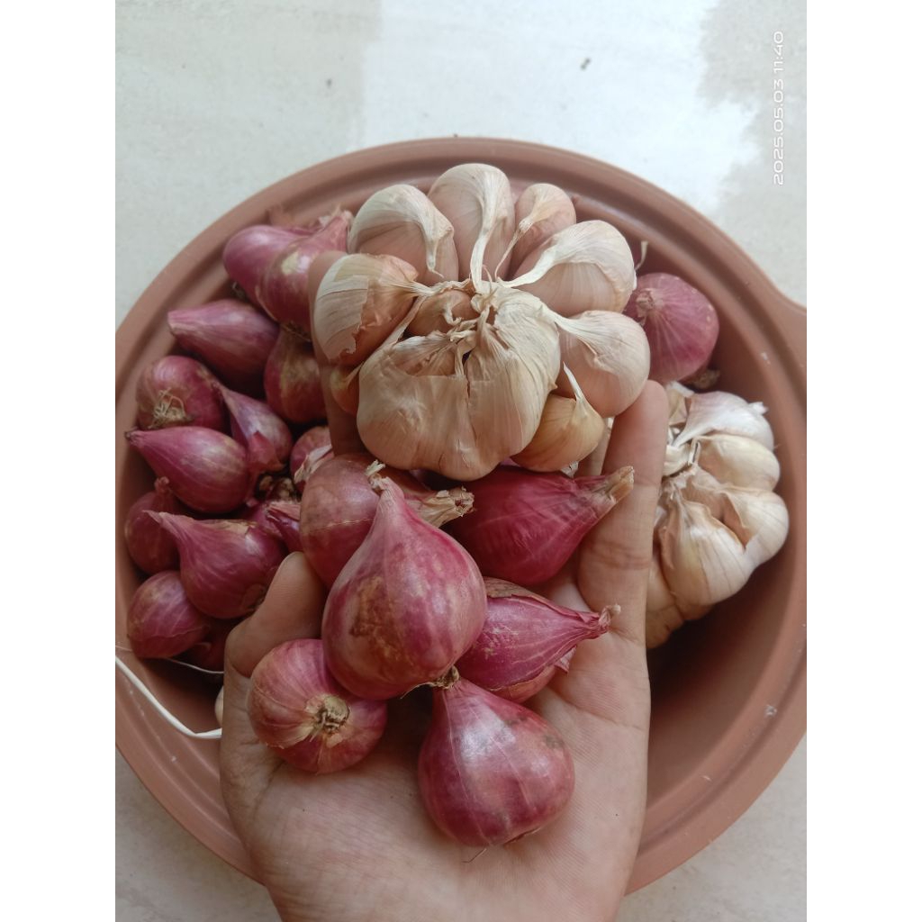 

paket hemat bawang putih & Bawang merah