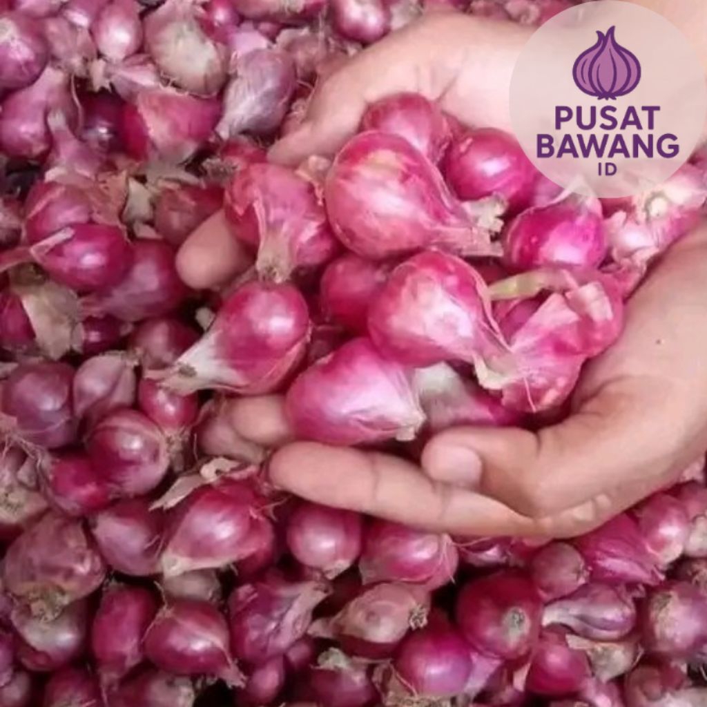 

BAWANG MERAH BREBES FRESH - 1 KG