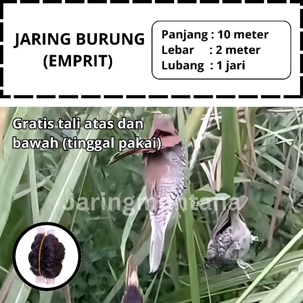 JARING EMPRIT JARING BURUNG PIPIT PANJANG 10X2 METER PIKAT BURUNG