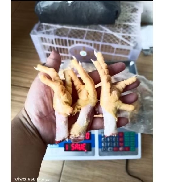 

Ceker ayam uk jumbo masih ada kulit dan kuku 1kg