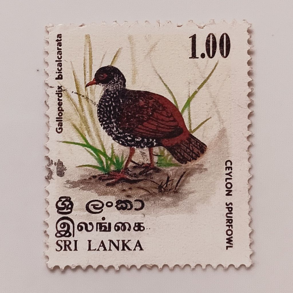 

(AA) Perangko Sri Lanka 1979 Birds 1979 - Sri Lanka Spurfowl (Galloperdix bicalcarata) 1 rupee Used