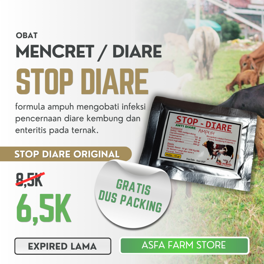 Stop Diare Obat Mencret Kambing Sapi Babi Ampuh