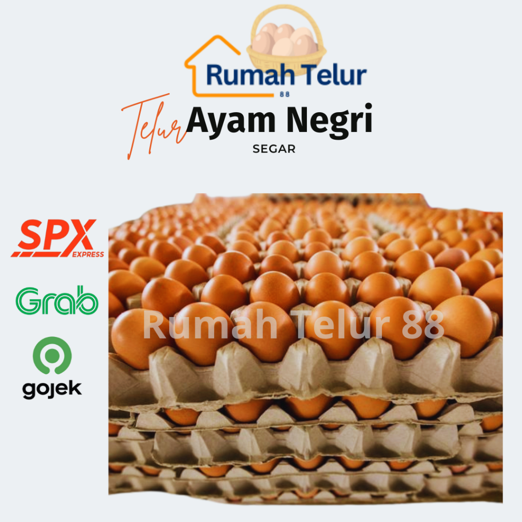 

Telur Ayam Negri Segar / Telur Ayam Negri Fresh 10kg