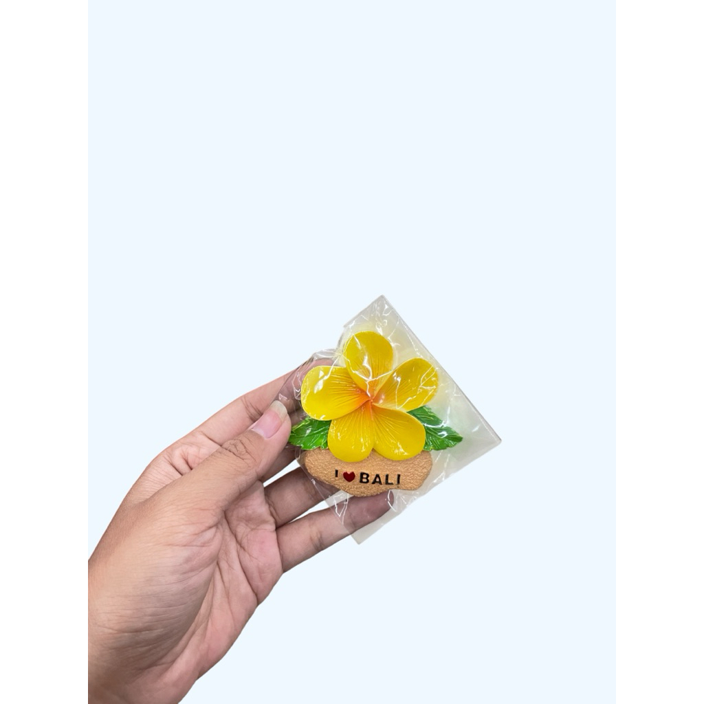 tempelan magnet kulkas/souvenir bali