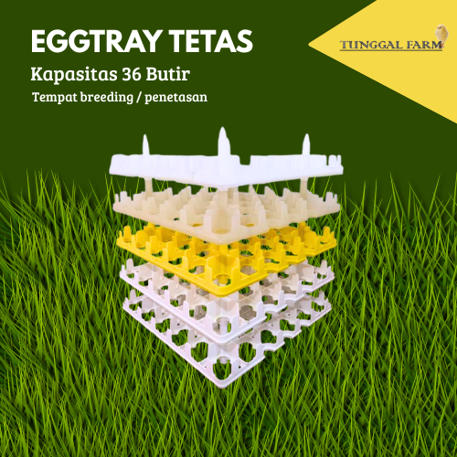 Eggtray Tetas Plastik /Egg Tray Breeding/Tempat Telur Penetasan /Alat Ternak Ayam