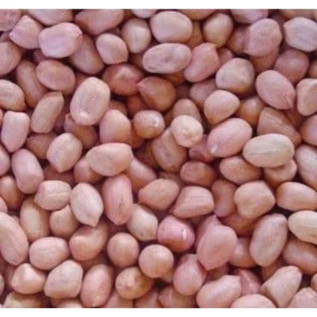 

TERLARIS!!!Kacang Tanah Asli Lokal 1Kg /Kacang Tanah Super NO.1