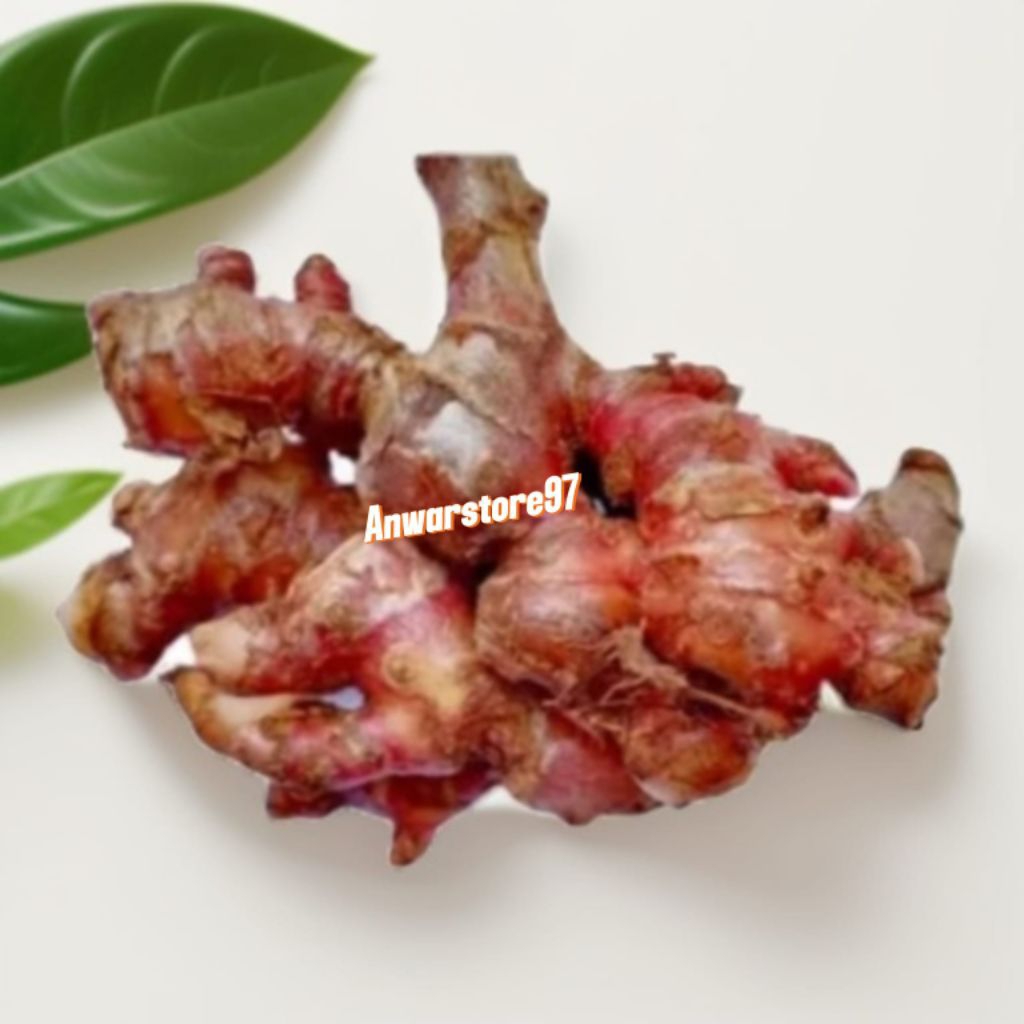 

Jahe Merah segar 1kg