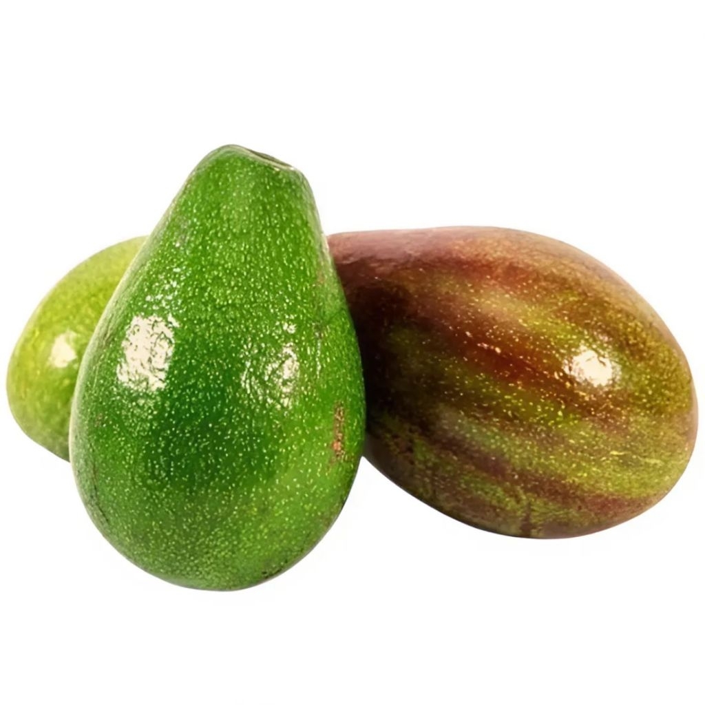 

Alpukat Mentega | buah lokal alpukat mentega 1kg