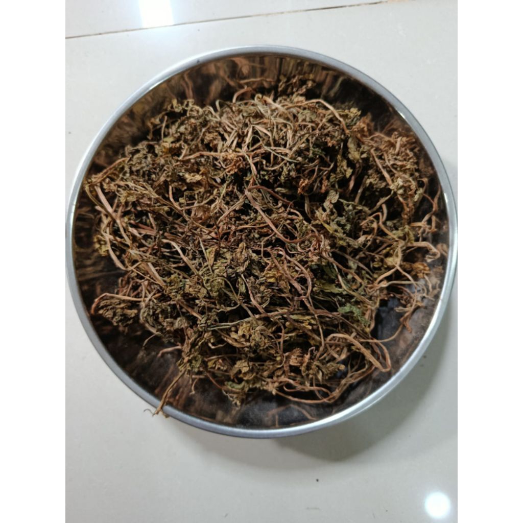 

SELEDRI KERING 1 KG Daun Sledri Rempah Herbal Simplisia Alami Ramuan Jamu Tradisional untuk Kesehatan Ginjal Darah Tinggi Bumbu Dapur Apium graveolens