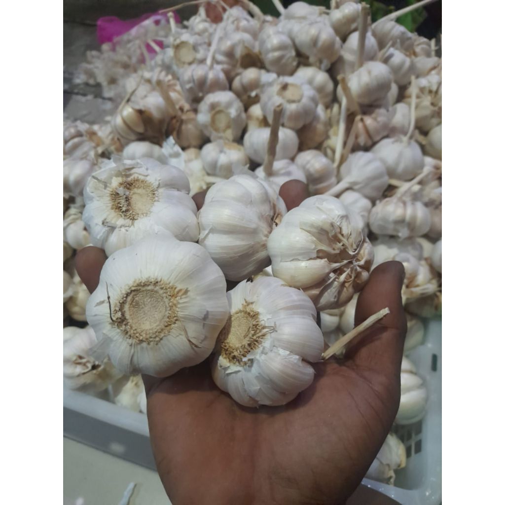 

BAWANG PUTIH BERSIHI 500gr/1000gr