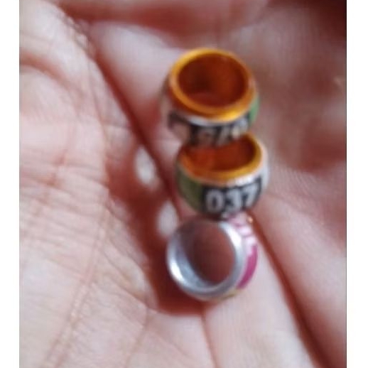 Ring burung merpati nama [RANDOM] / TIDAK BISA REQUEST NAMA