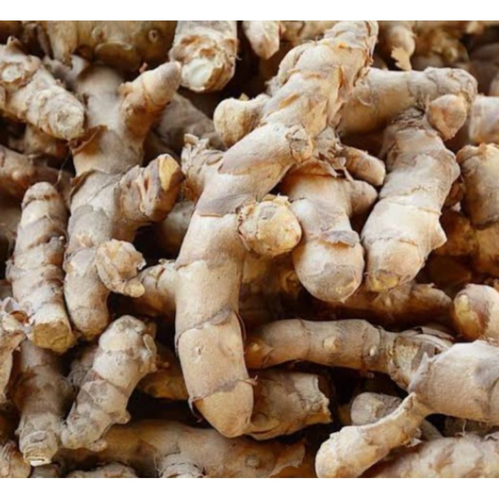 

Jual kunyit putih segar organik 500 g